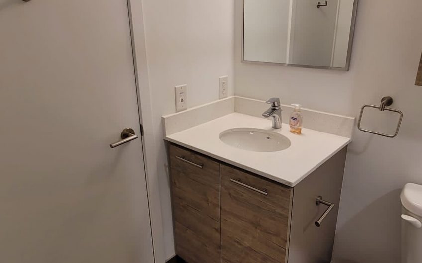 PRIVATE BEDROOM FOR RENT/  LIBERTY VILLAGE